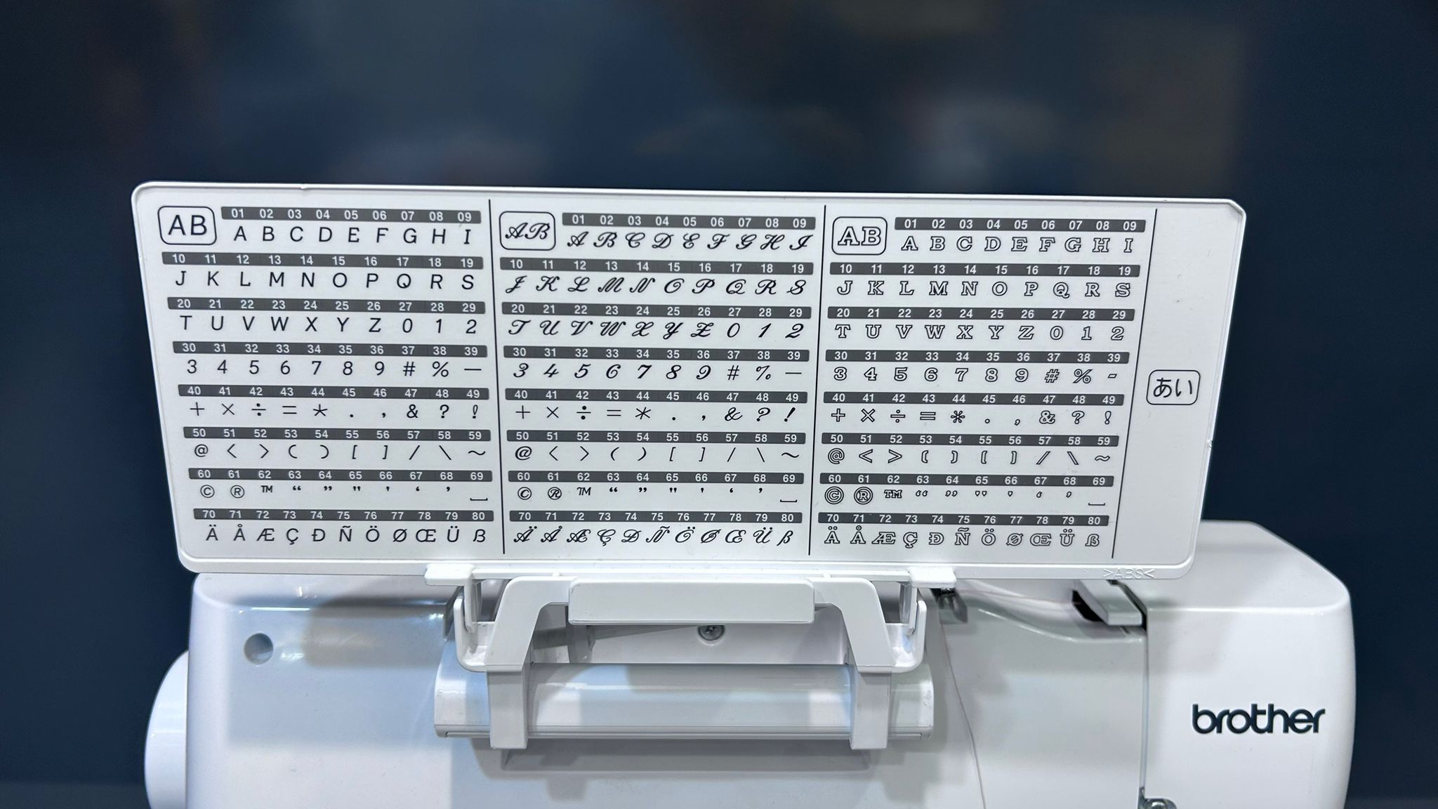 WhatsApp Image 2026-01-28 at 11.27.36